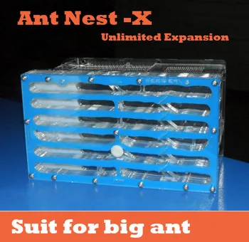 секция расширения муравьиного гнезда 19,6*11,2*3 см X, муравьиная ферма акрил, вилла 