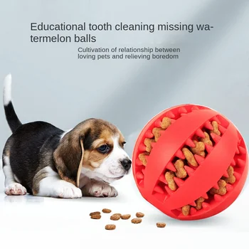 Игрушка для собак – эластичный резиновый мяч для скрежета зубами и декомпрессии, новинка для щенков, игрушки для собак, Неразрушаемые аксессуары